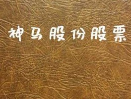 神马股份？神马股份是干什么的？