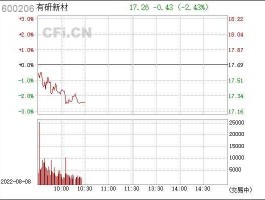 股票600206 存储芯片十转四十股转七元是那个股？