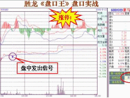赛马实业？宁夏的股票有几只？