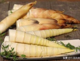 冬笋价格，春笋好吃还是冬笋？