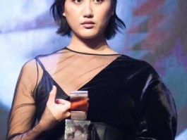 耀莱（天下耀莱mcn旗下艺人都有哪些？）