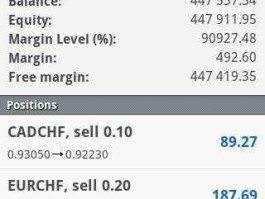 mt4平台在国内是否合法（怎么验证mt4账户上的资金就去国际市场？）