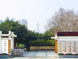 成大（成大附中和49中高中部哪个好？）