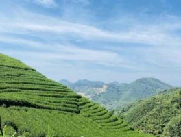 中泰申购 中泰证券分级基金合并拆分方法？