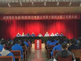 彩虹集团吧 成都彩虹集团员工人数？