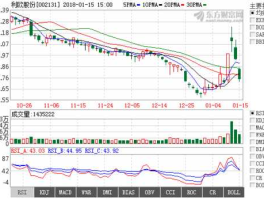 利欧股份股票？2元左右股票一览？