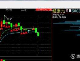 600380股票，健康元股票历史最高价？