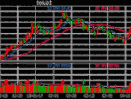 比亚迪股价上涨（比亚迪股价上涨了吗）