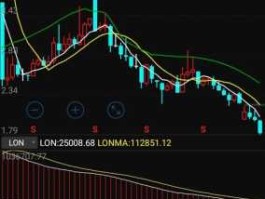 国电电力股票行情？国电电力是大盘股还上小盘股？