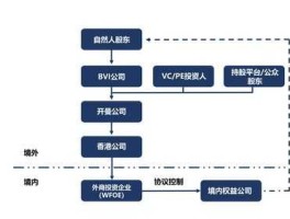 vie结构？什么是VIE结构？