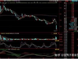 股票600221，002366和600221的区别？