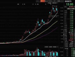 600975股吧论坛（600958股吧讨论）