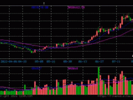 永福集团股市（永福股份开盘大涨19%）