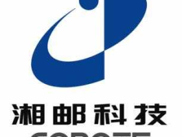 上海爱建股份有限公司 湘邮科技是外包吗？