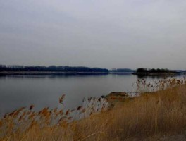 沙河贴吧（为什么沙河总比清河深？）