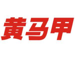 黄马甲股市（黄马甲物流配送股份有限公司）