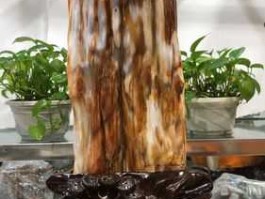 树化玉（树化玉和树化石有何不同？）