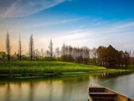 野渡股市点评（野渡新浪博客）