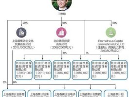普思投资，王思聪旗下公司？