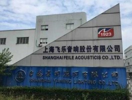 600651飞乐音响（飞乐音响公司年前会被st或者被强制退市吗？）