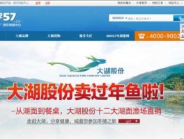 大湖股份东方财富（大湖股份吧）