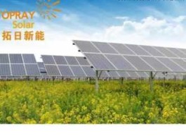 拓日新能？拓日新能主营业务？