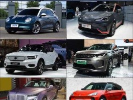 新车展，北京新能源车展选择品牌什么意思？