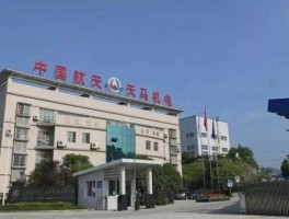 天马股份会退市吗（天马股份为什么停牌）