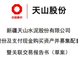 天山股份 天山股份是哪家企业的子公司？