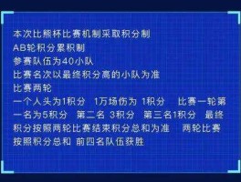 赛事服务 职业比赛语音是由谁提供的服务？