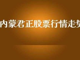 内蒙君正股票？请问内蒙君正目前有无投资价值？请问内蒙君正？