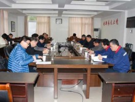 安徽皖维集团有限责任公司（安徽皖维集团有限责任公司董事长）