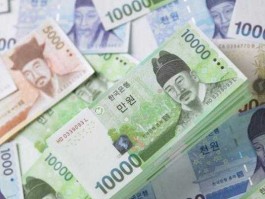 一亿韩元能干什么(一亿韩元多吗)