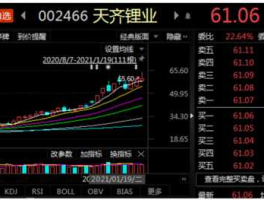 天齐锂业股票？天齐锂业怎么样？天齐锂业怎么样？