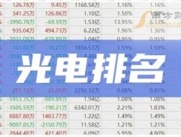 002245股票（光电龙头企业排名？）