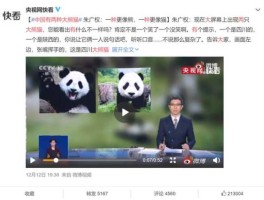 熊猫怎么样？熊猫短视频怎么样？