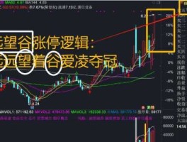 望远谷股市（远望谷涨停）