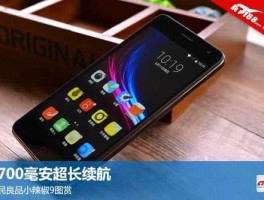 小辣椒手机网，小辣椒手机上不了网？