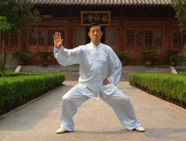 恩怨情仇，陈氏太极拳大架和小架的恩怨情仇？