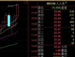 002336股票，人人乐股票改为ts人人乐是什么意思？