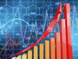 股票600206 长江存储股票代码？