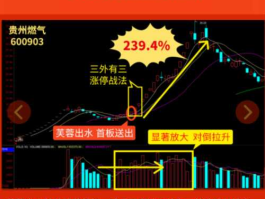 麒麟才女股市（麒麟才女的意思）
