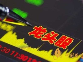 002643股票？九目化学是什么龙头？