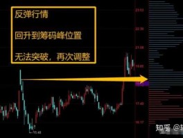 股市筹码（股市筹码被收集和锁定）