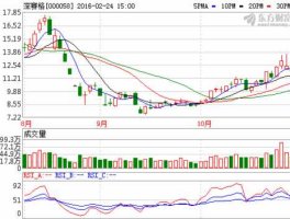 深赛格今日股价（深赛格股票今天上午什么情况）
