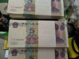 2005版5元人民币暴涨(2005版人民币停止流通)
