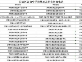 正利控股，济南长清区有几所高中？