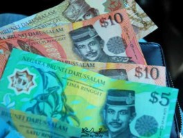 人民币兑文莱币(人民币兑文莱币今日价格)