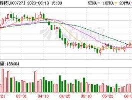 000727华东科技 新能源板块龙头股票有哪些？