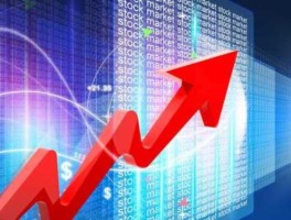 股市中的专业（股市中的专业指什么）